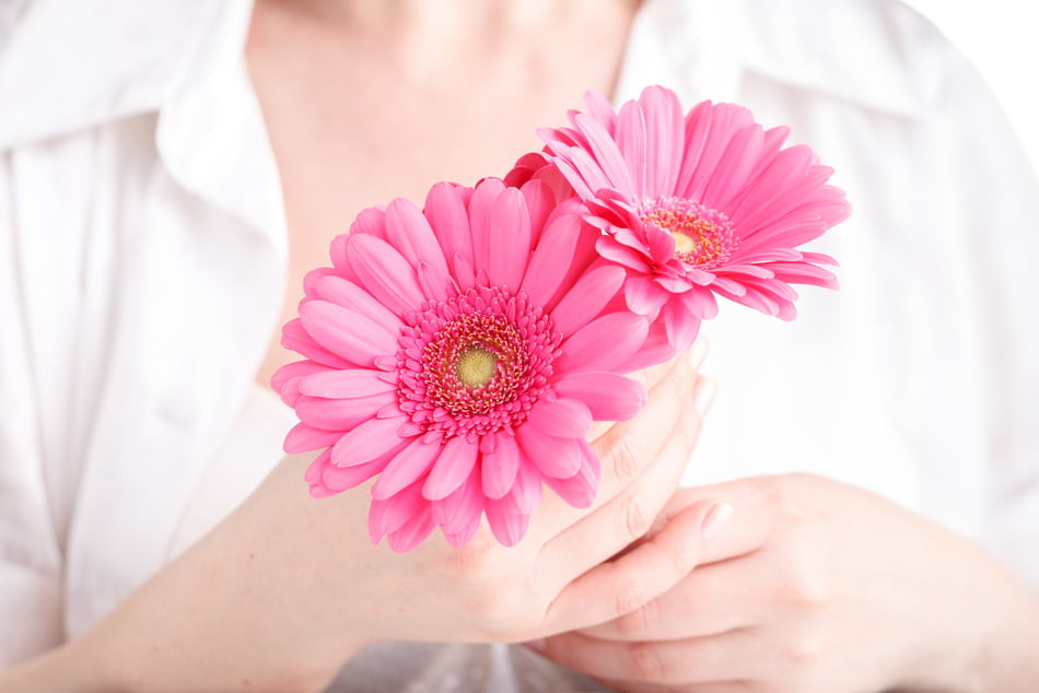 Woman hygiene conception. Pink flower gerbera in female hands